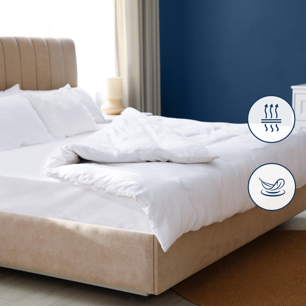 Drap housse coton jersey